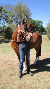 Horse Neck Stretches