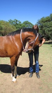 Horse Neck Stretches